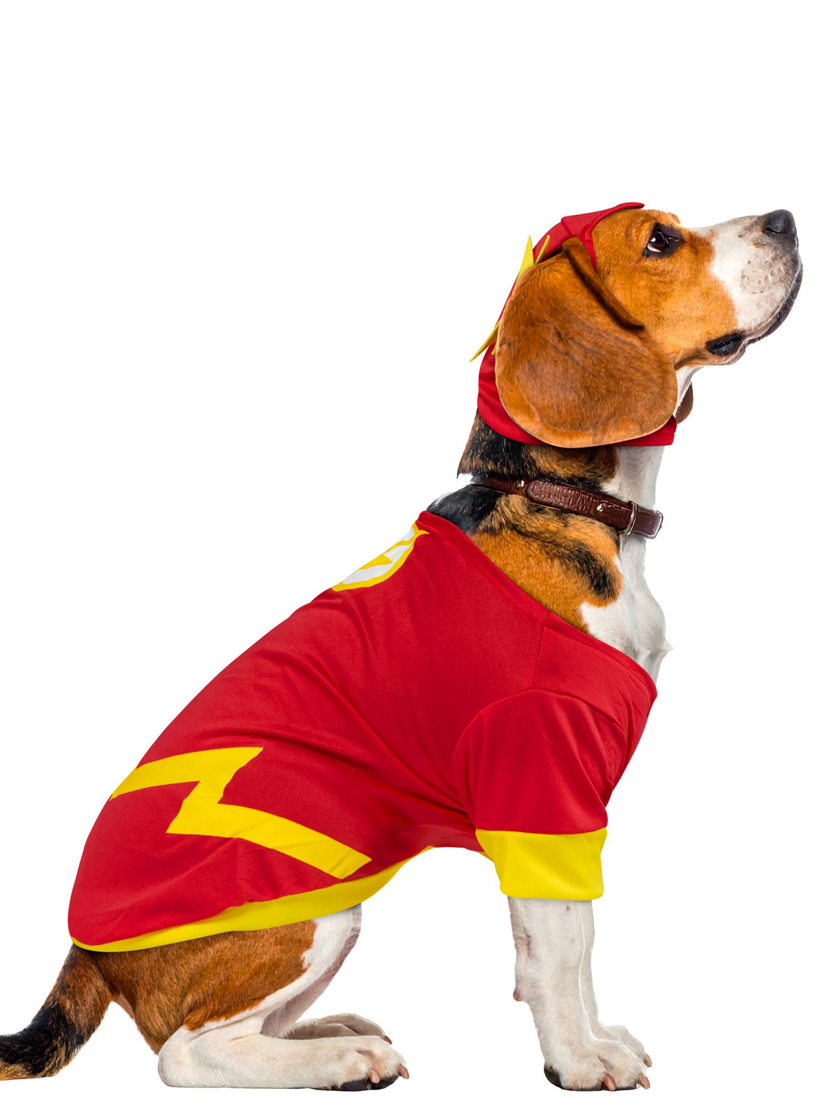 Justice League Flash Pet Costume - costumes.com