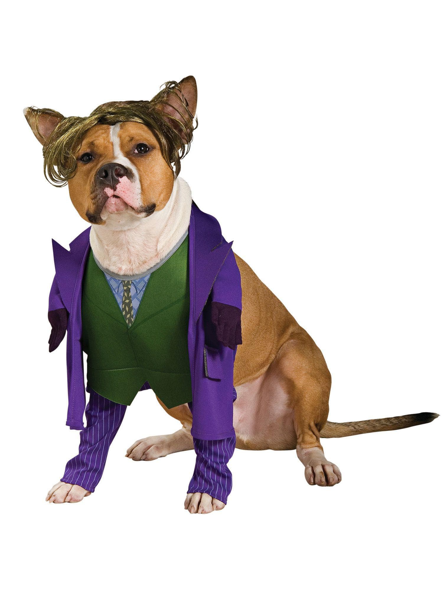 DC Comics Joker Pet Costume - costumes.com