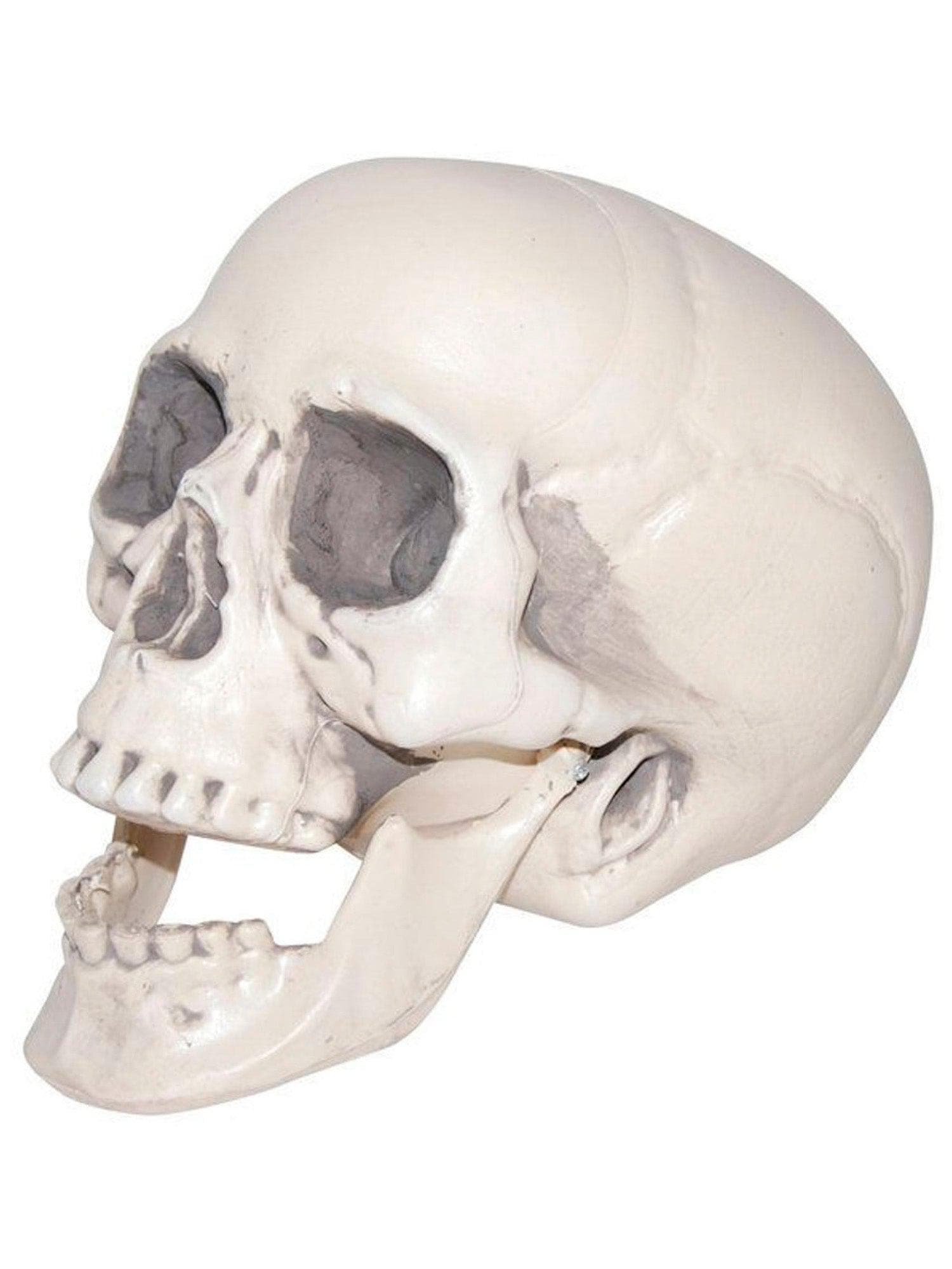 8 Inch Realistic Plastic Skull Prop - costumes.com