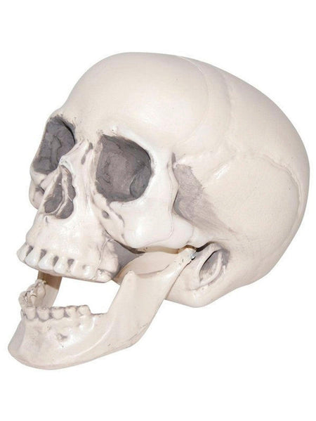 8 Inch Realistic Plastic Skull Prop