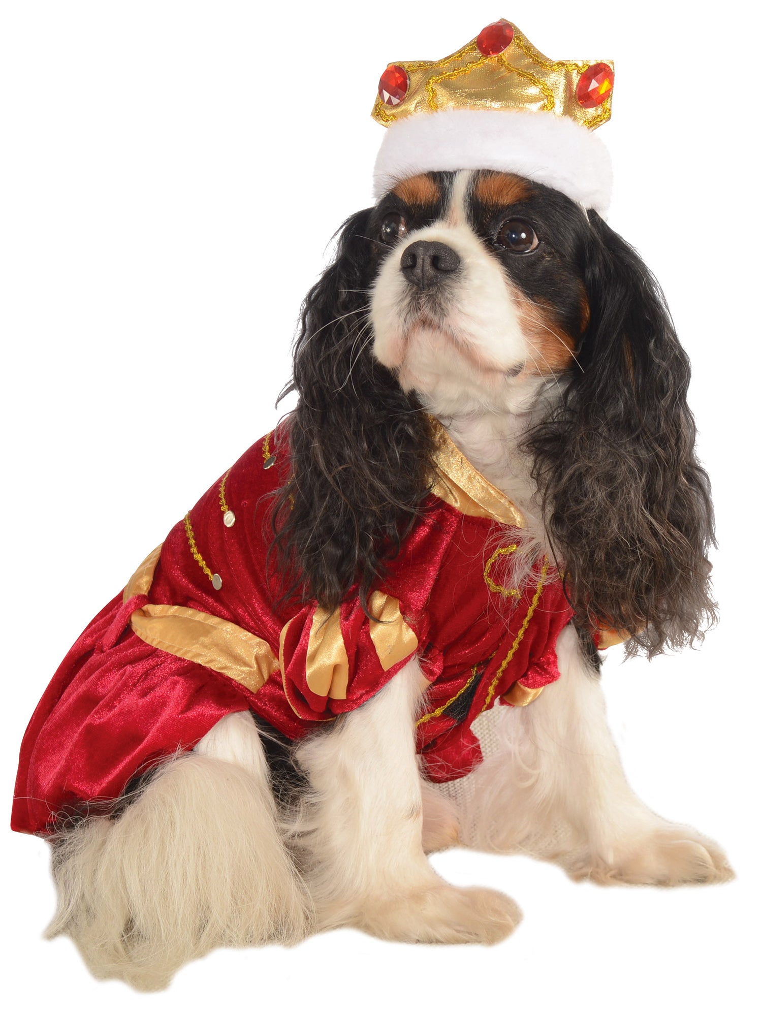 Royal King Pet Costume - costumes.com