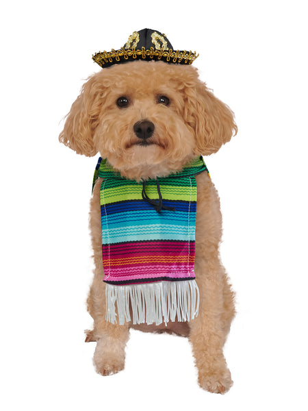 Fiesta Inspired Serape Pet Costume