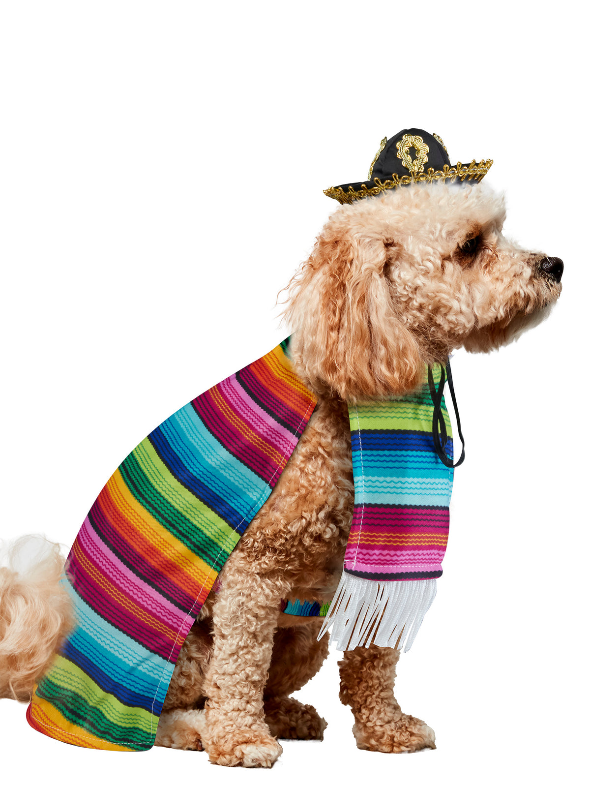 Fiesta Inspired Serape Pet Costume - costumes.com