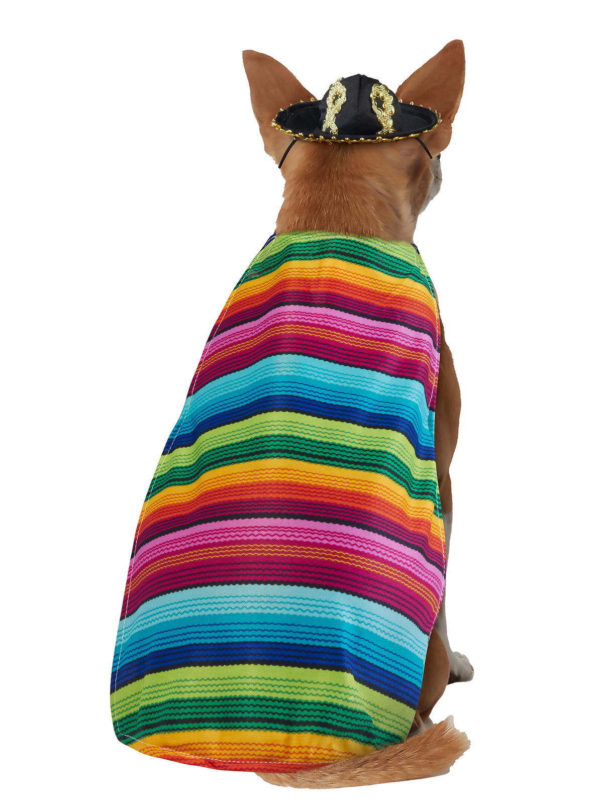 Fiesta Inspired Serape Pet Costume - costumes.com