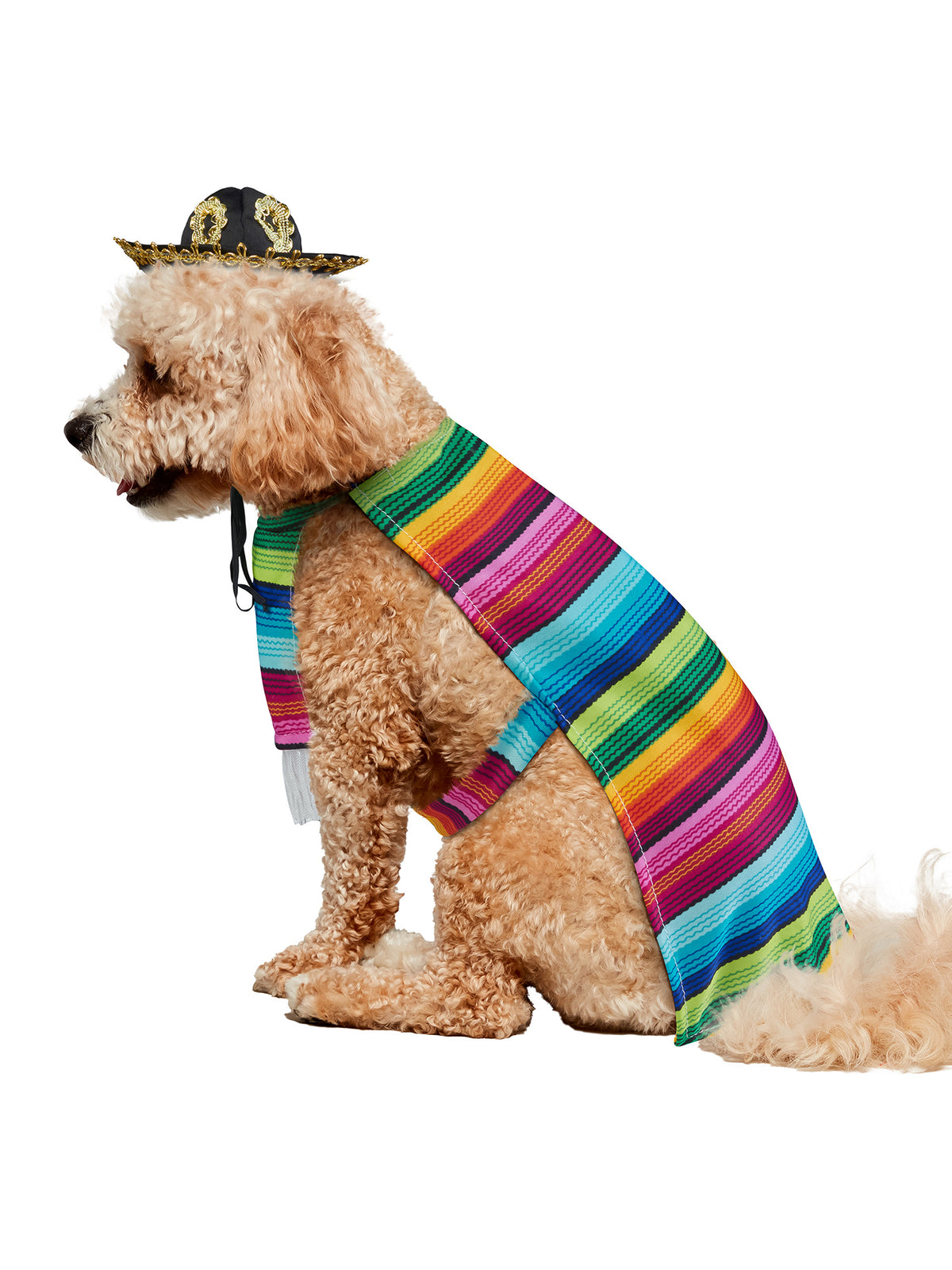Fiesta Inspired Serape Pet Costume - costumes.com