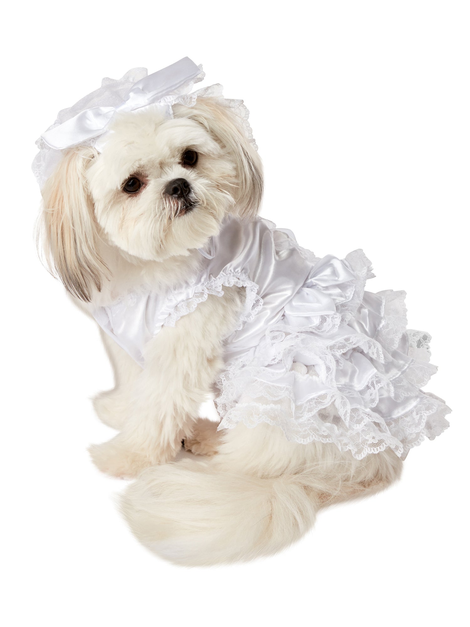 - costumes.com