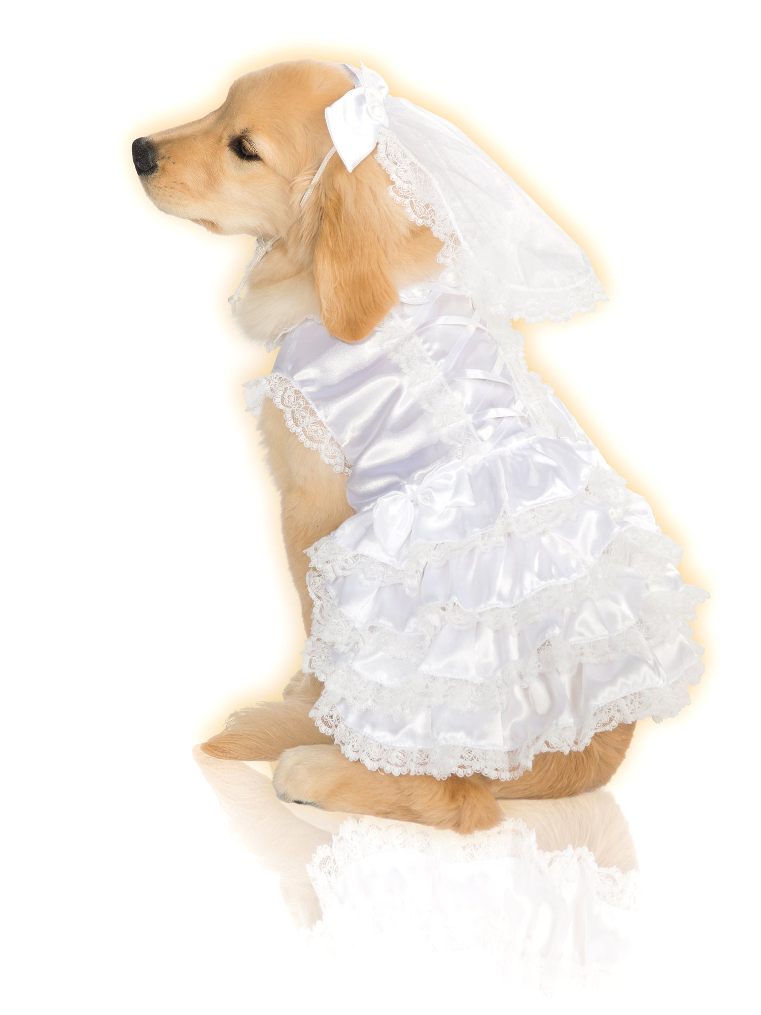 - costumes.com