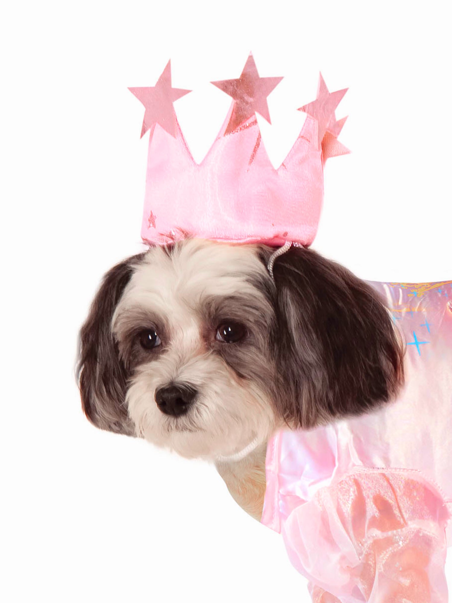 Wizard of Oz Glinda the Good Witch Pet Costume - costumes.com