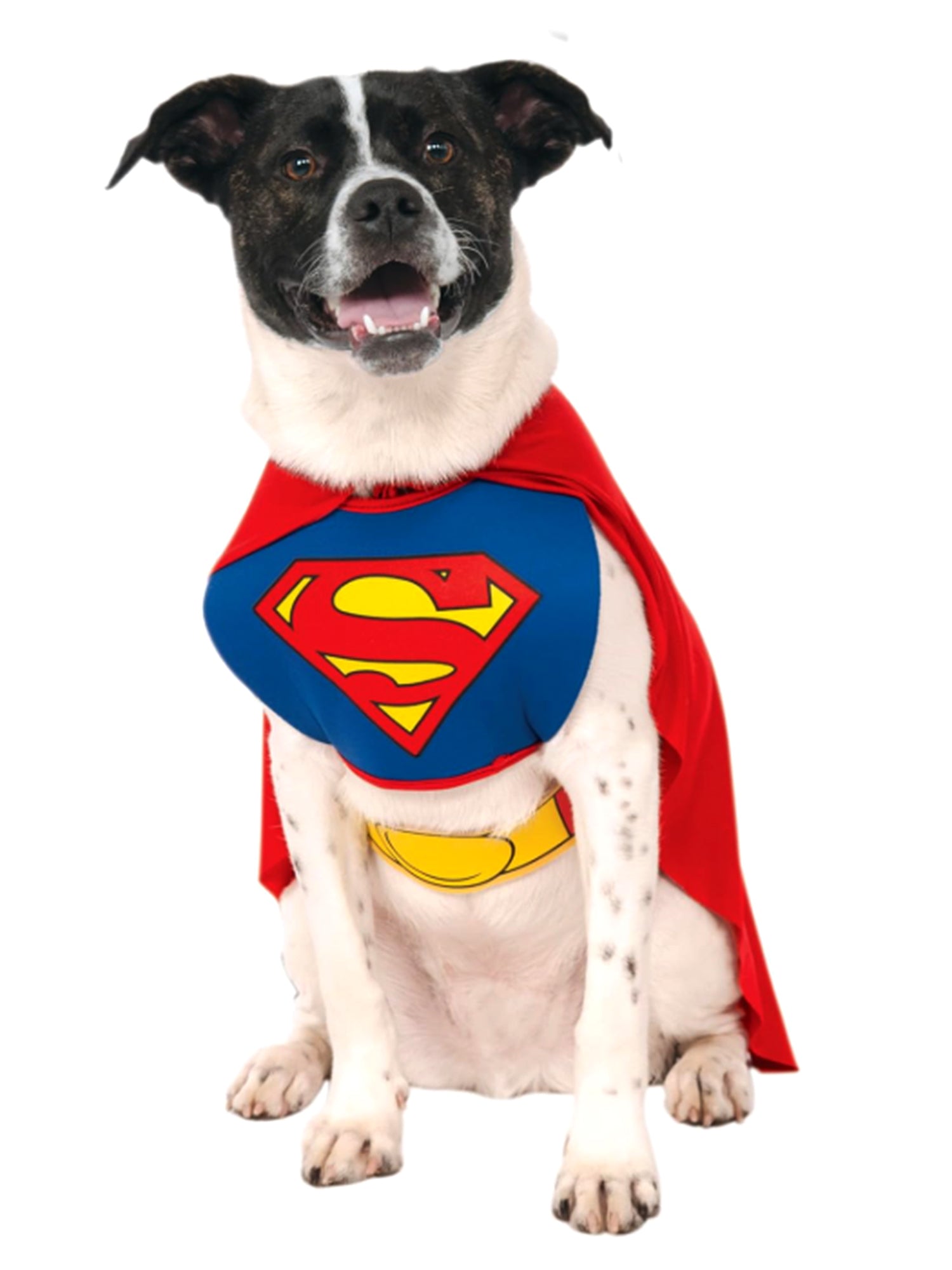 DC Comics Superman Pet Costume - Classic - costumes.com