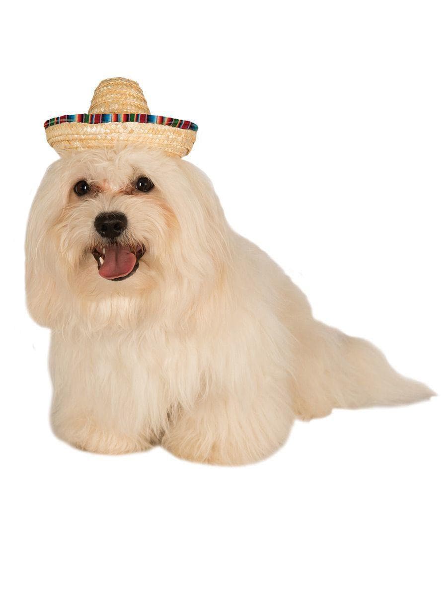 Straw Sombrero Pet Hat - costumes.com