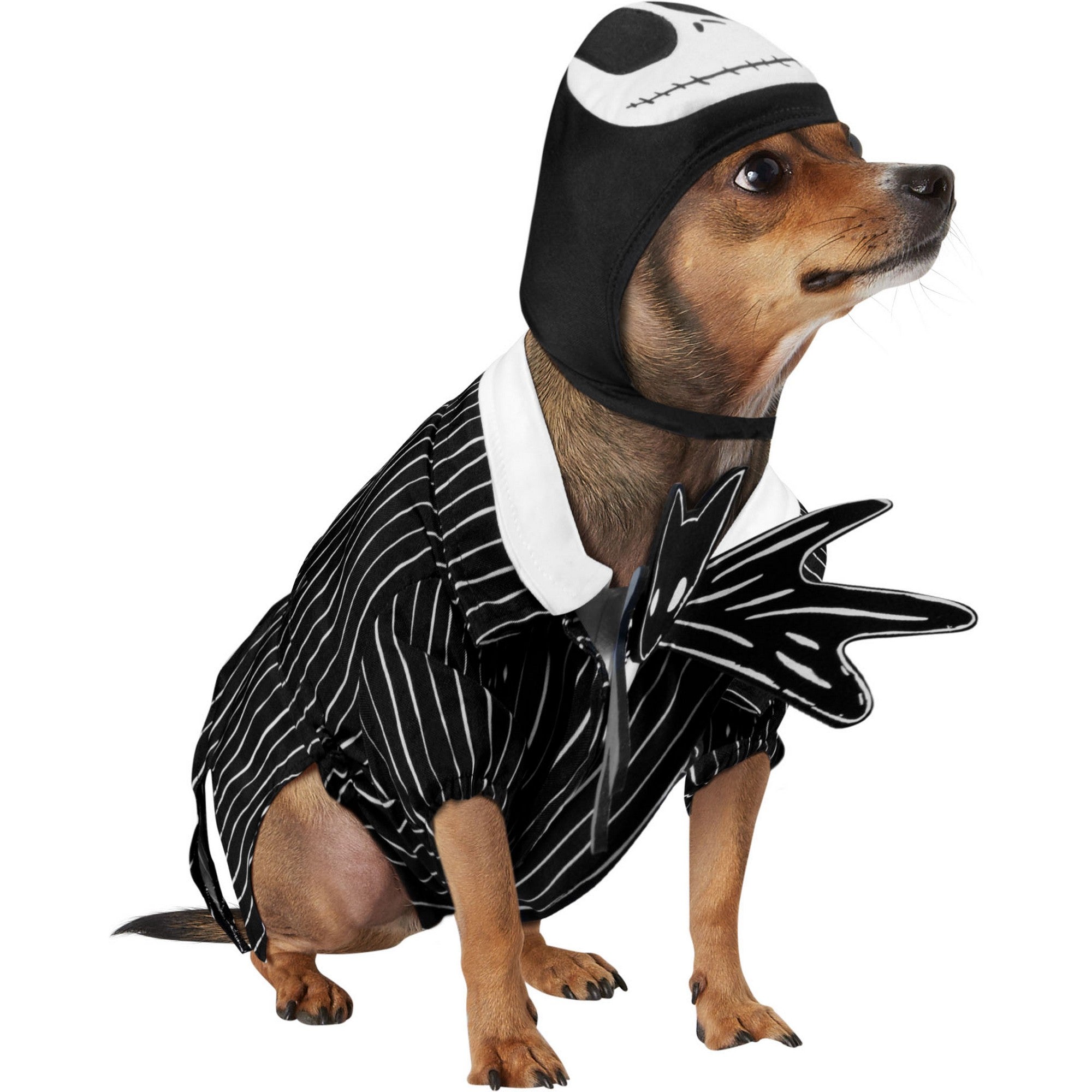 The Nightmare Before Christmas Jack Skellington Pet Costume - costumes.com