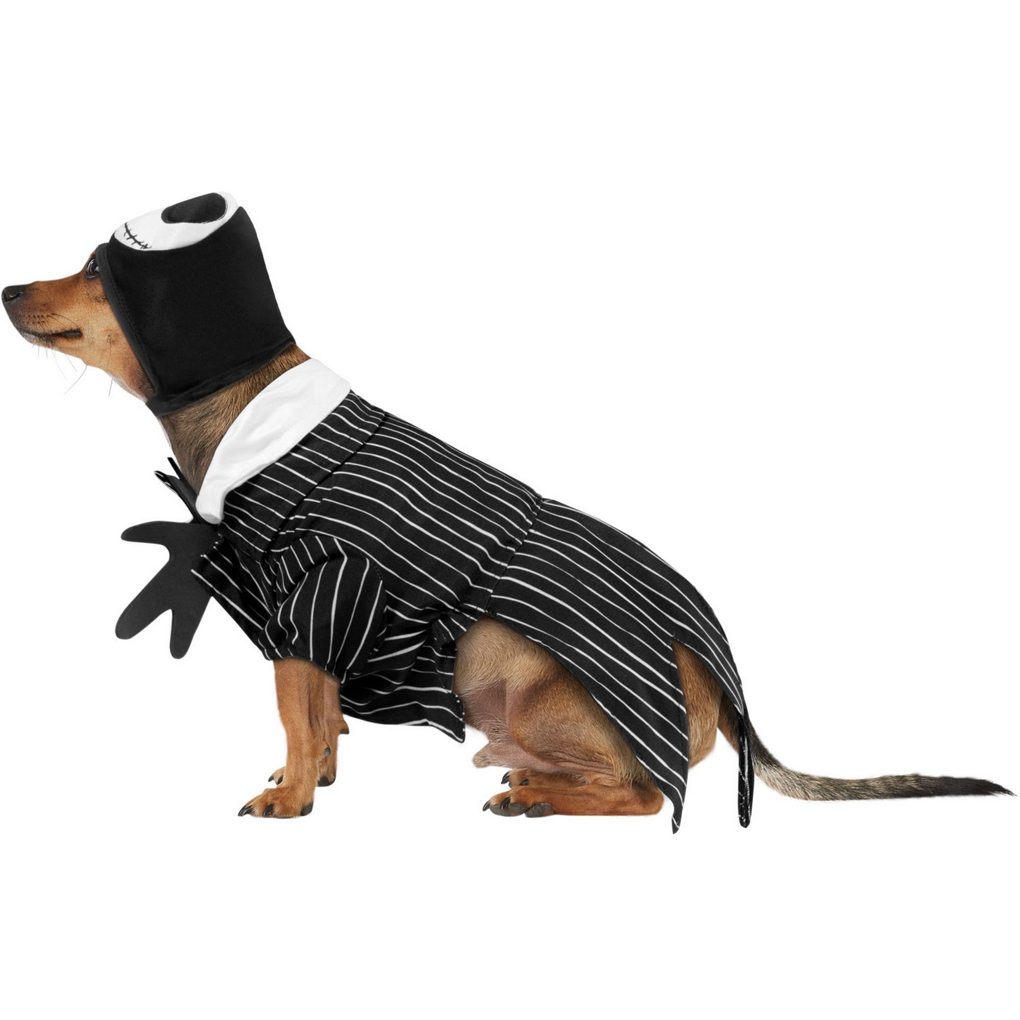 The Nightmare Before Christmas Jack Skellington Pet Costume - costumes.com