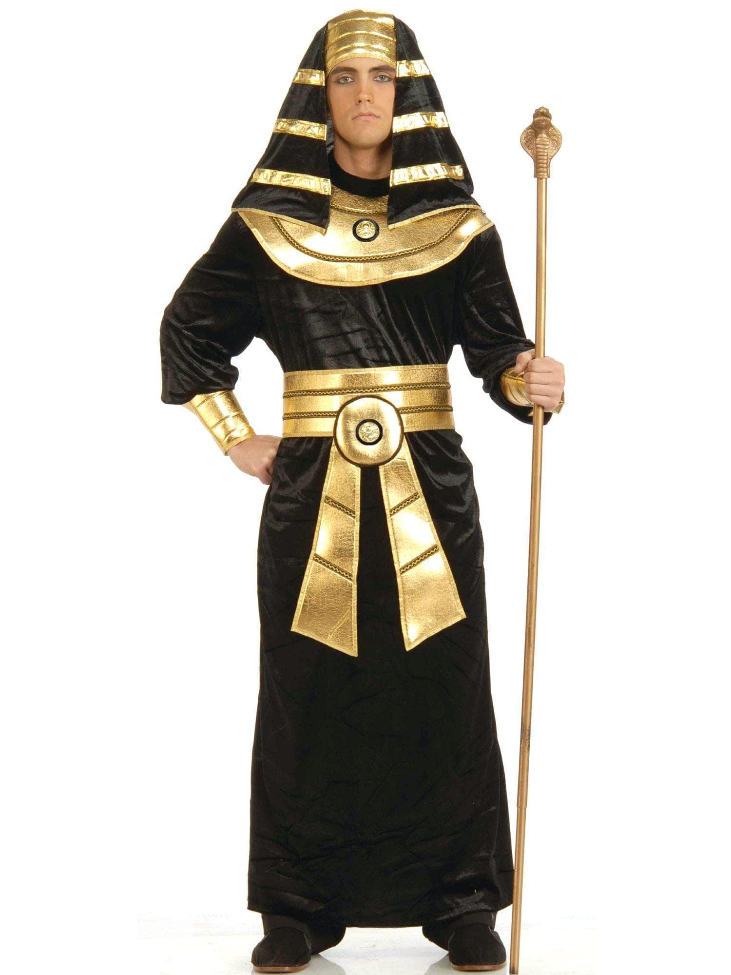 Adult Egyptian Pharaoh Costume - costumes.com