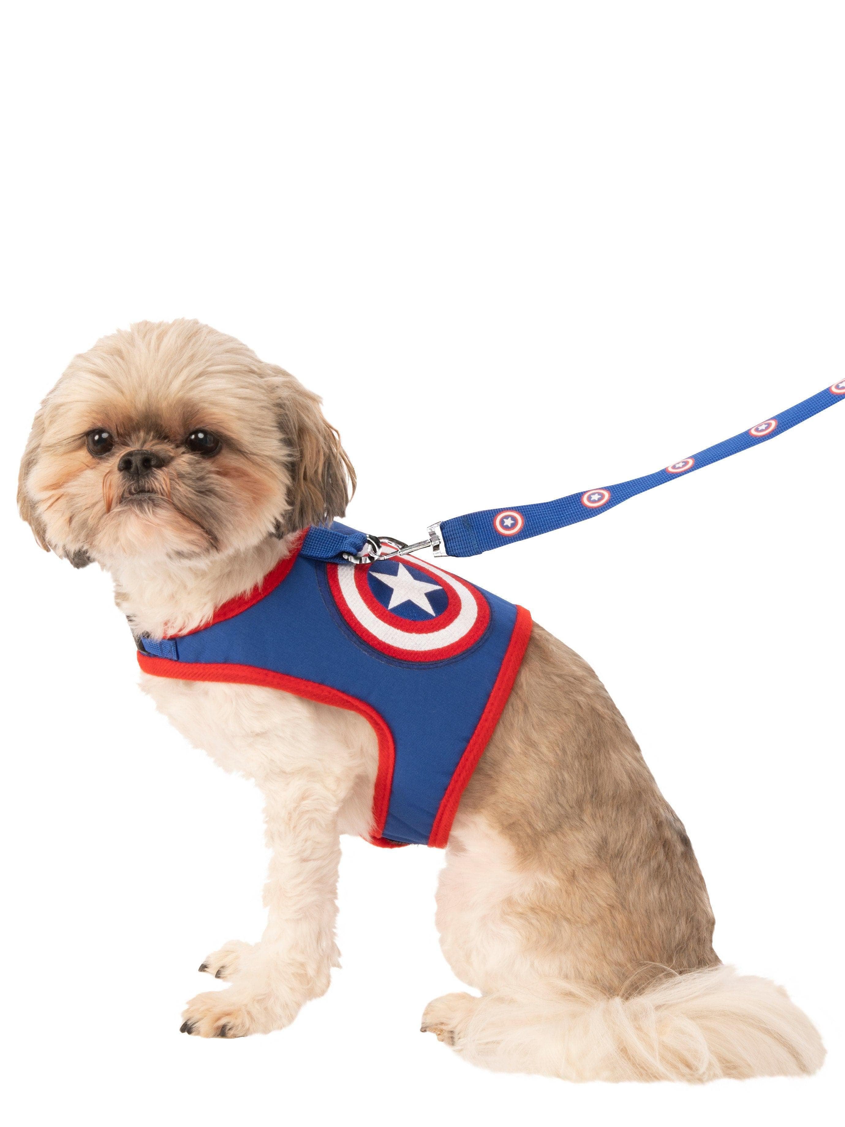 Avengers Captain America Pet Harness and Leash Set - costumes.com