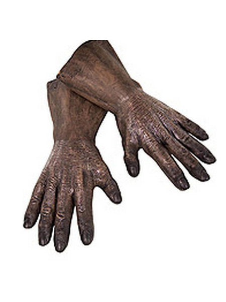 Adult Star Wars Chewbacca Latex Hands
