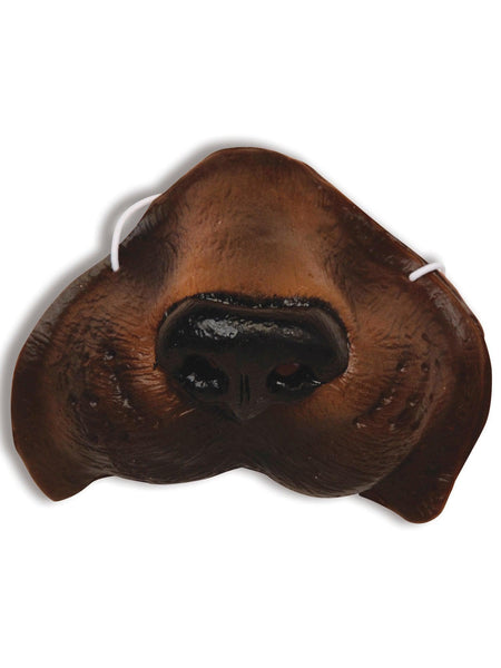 Adult Dog Nose