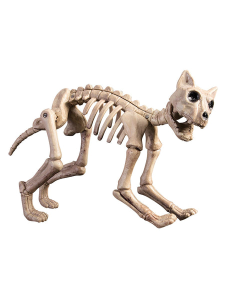 15-inch Scary Skeleton Cat