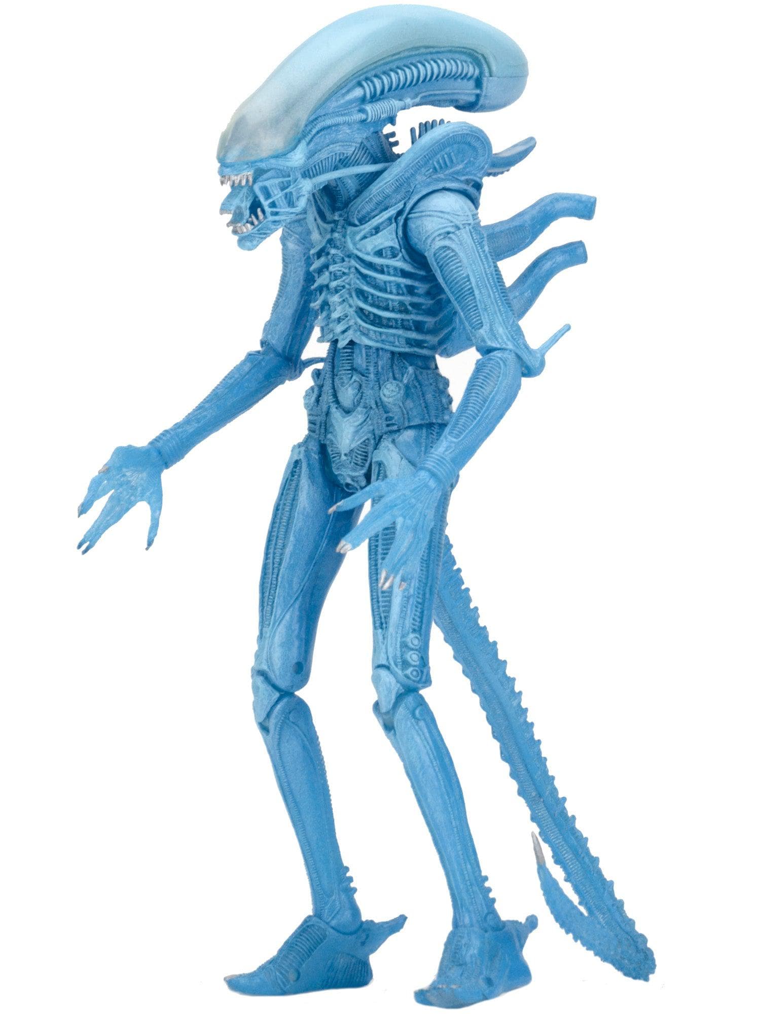 NECA - Aliens - 7" Scale Action Figure - Series 11 Warrior Alien (Kenner) - costumes.com