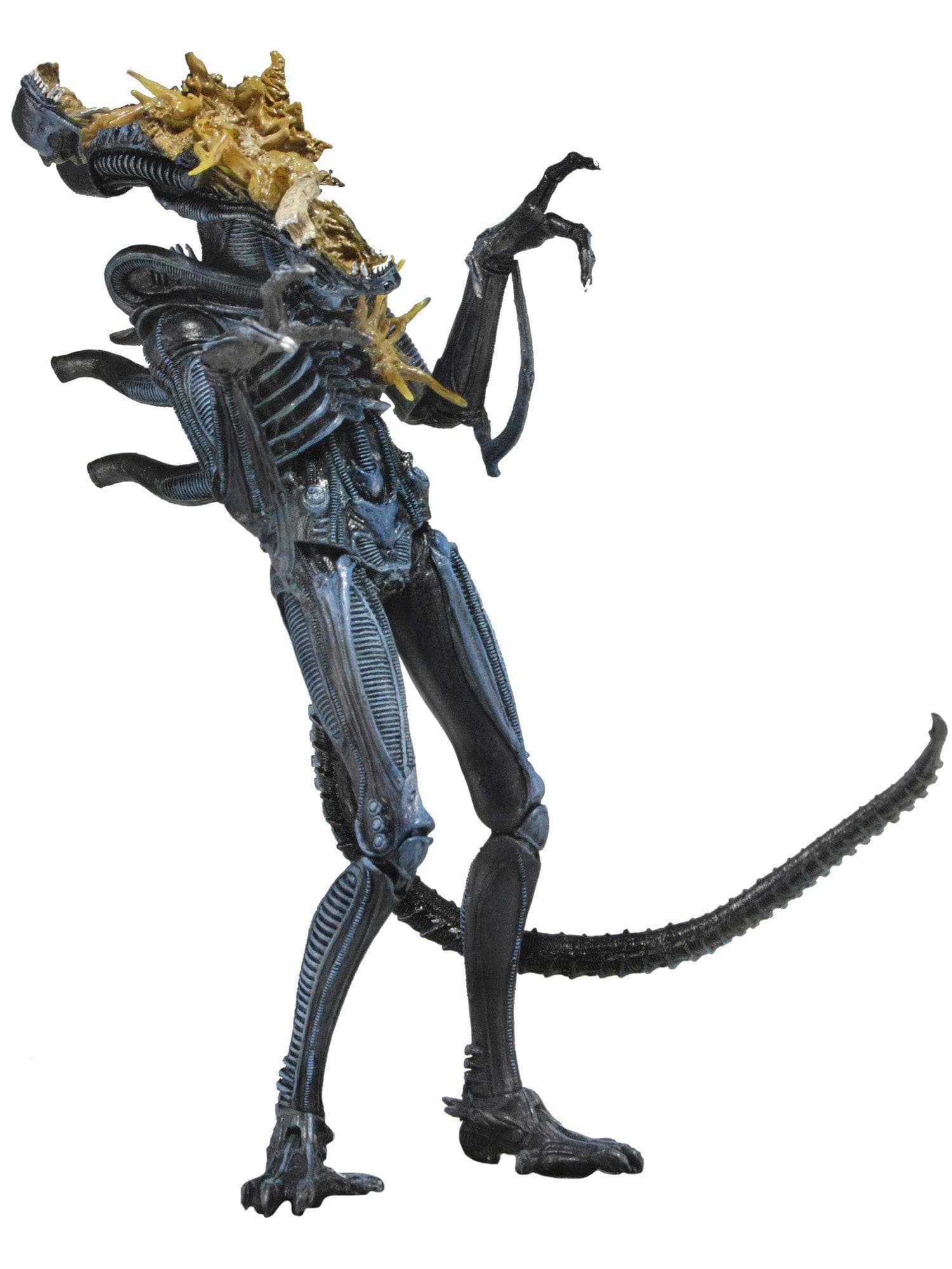 NECA - Alien - 7" Scale Action Figure - Series 12 Battle Damaged Warrior Blue - costumes.com