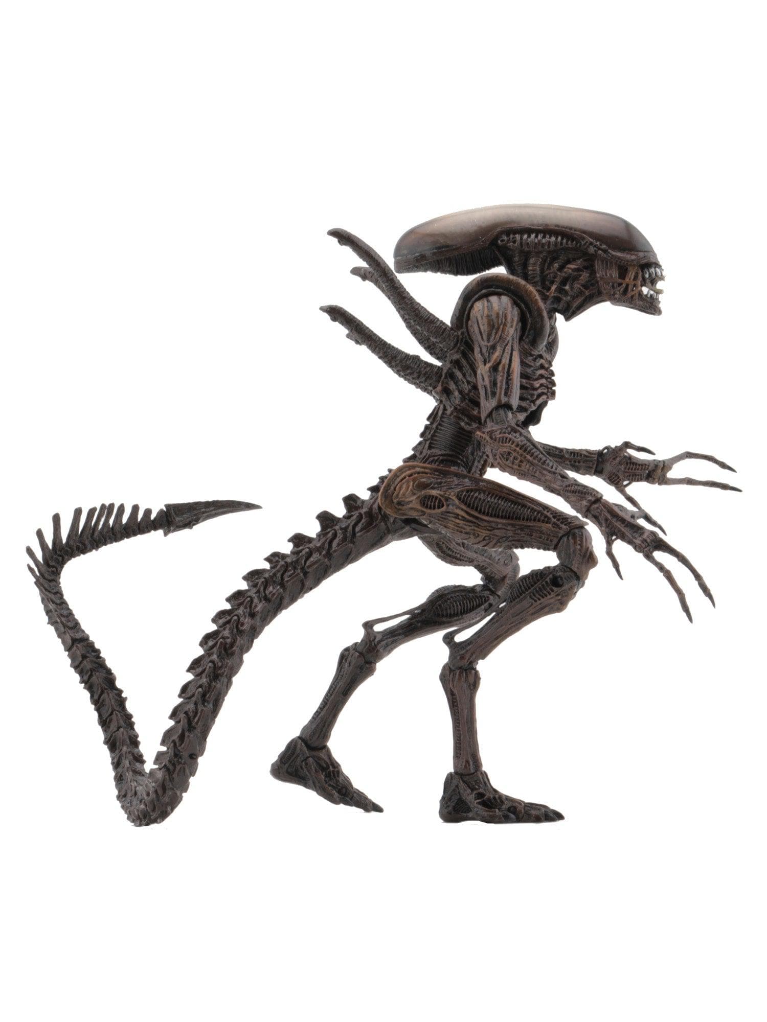 NECA - Aliens - 7" Scale Action Figure - Series 14 Alien Resurrection Warrior - costumes.com