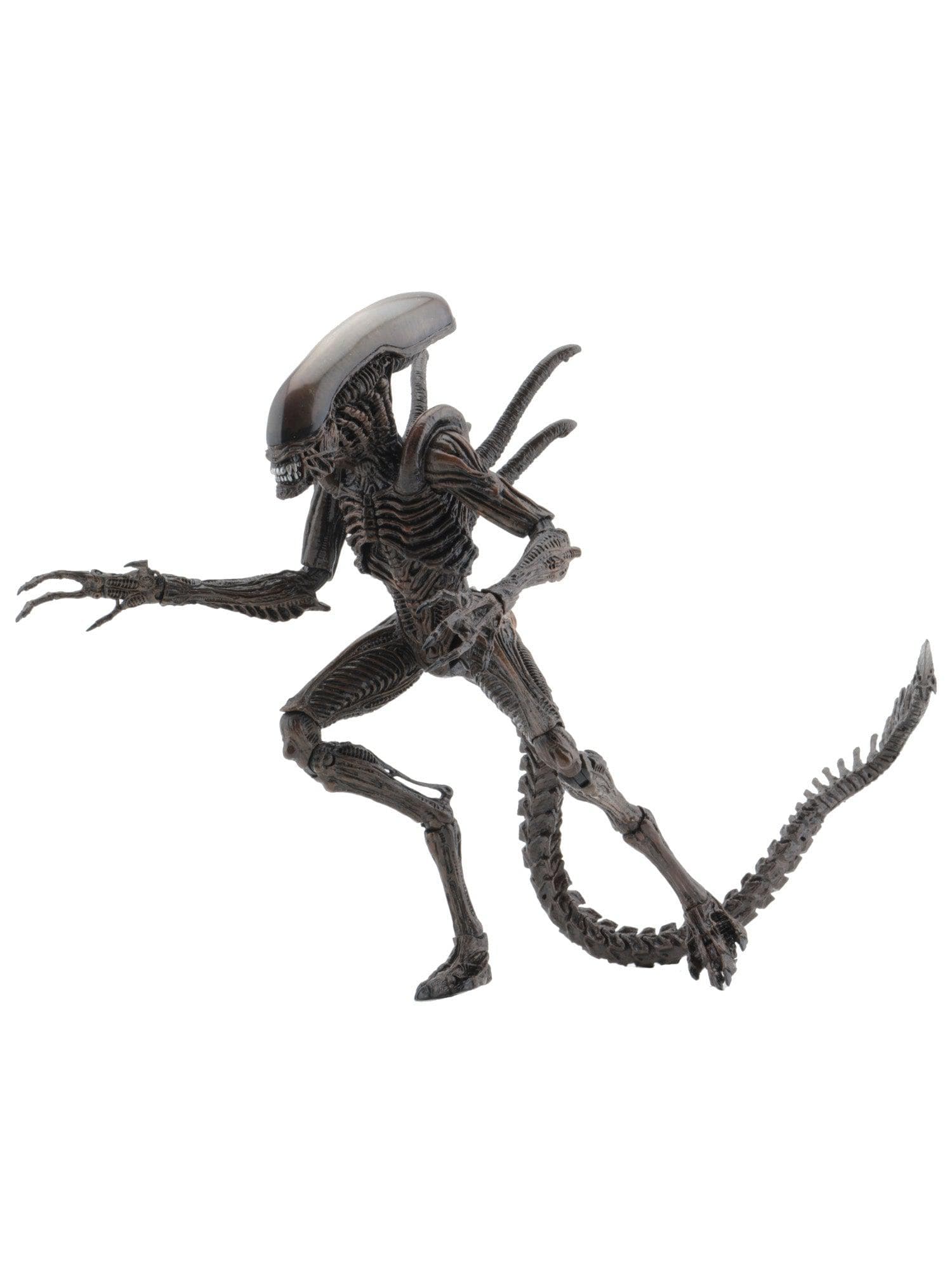 NECA - Aliens - 7" Scale Action Figure - Series 14 Alien Resurrection Warrior - costumes.com