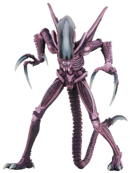 NECA - Alien vs Predator - 7 Scale Action Figure - Arcade Razor Claws Alien