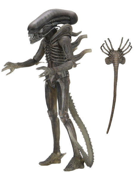 NECA - Alien - 7 Scale Action Figure - 40th Anniversary Asst 4 Giger - inspired Alien
