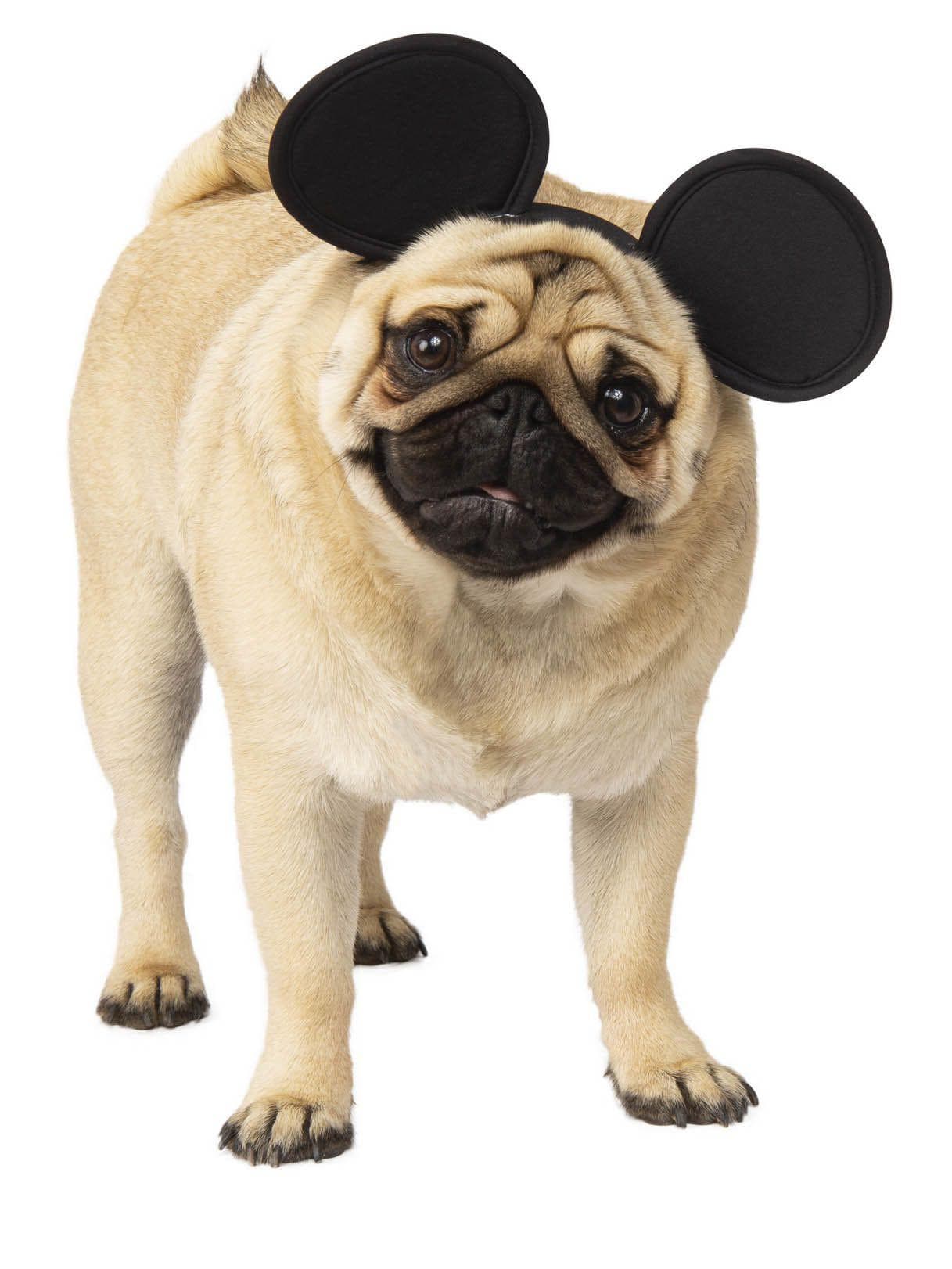 Mickey Mouse Ears Pet Headpiece - costumes.com