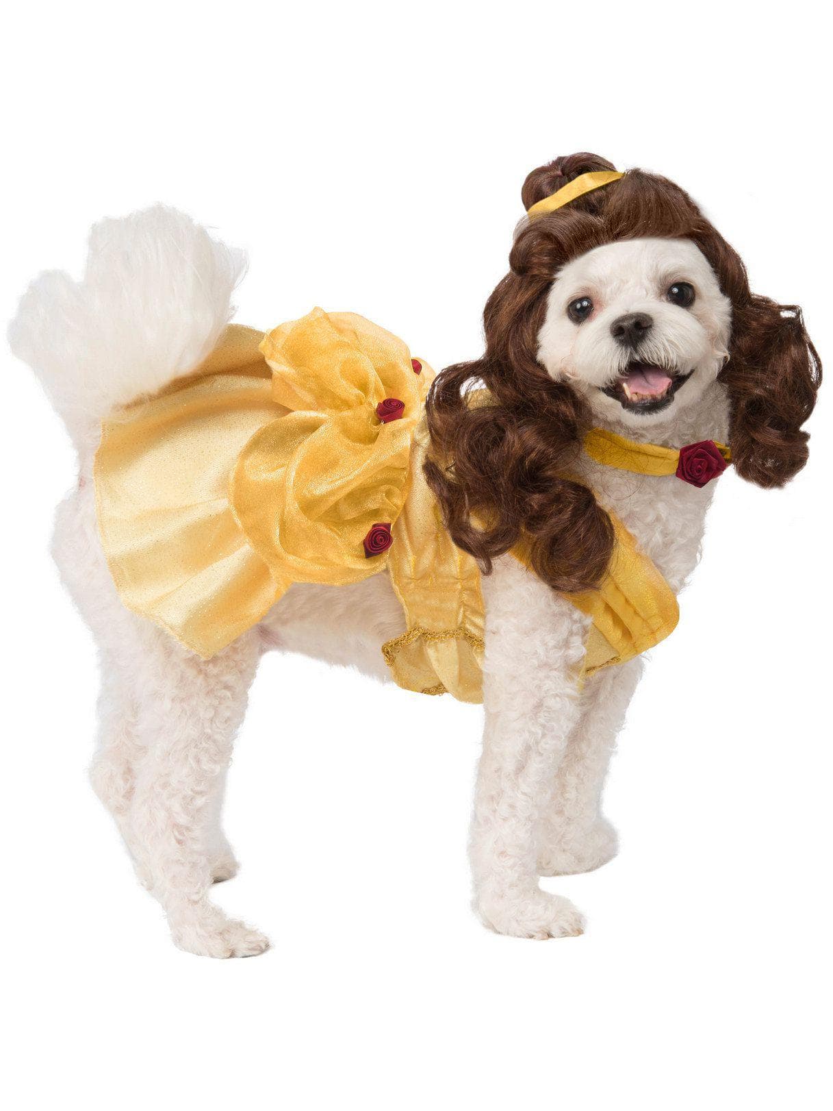Beauty and the Beast Belle Pet Costume - costumes.com