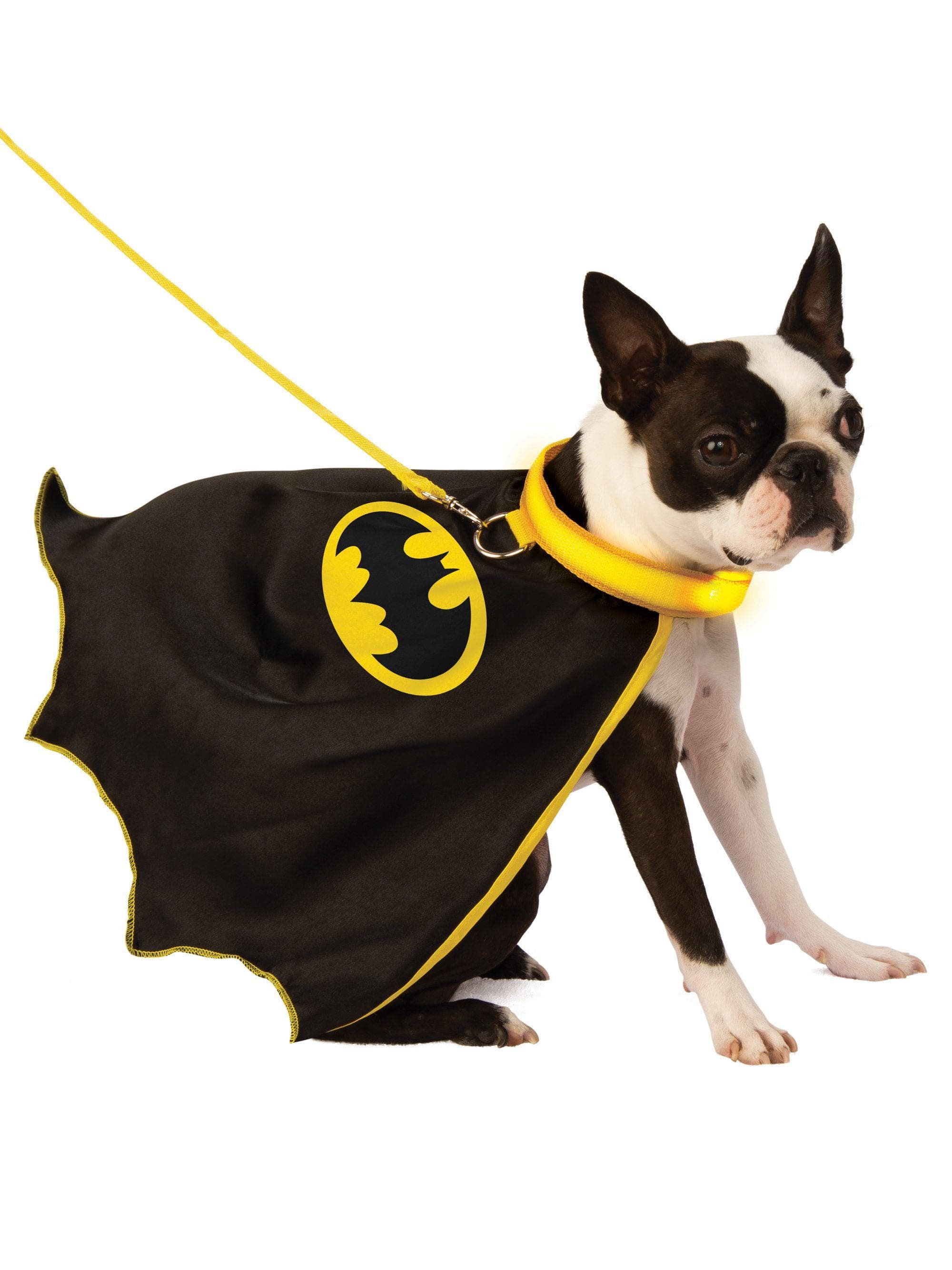 Batman Pet Light Up Collar and Cape with Leash - costumes.com