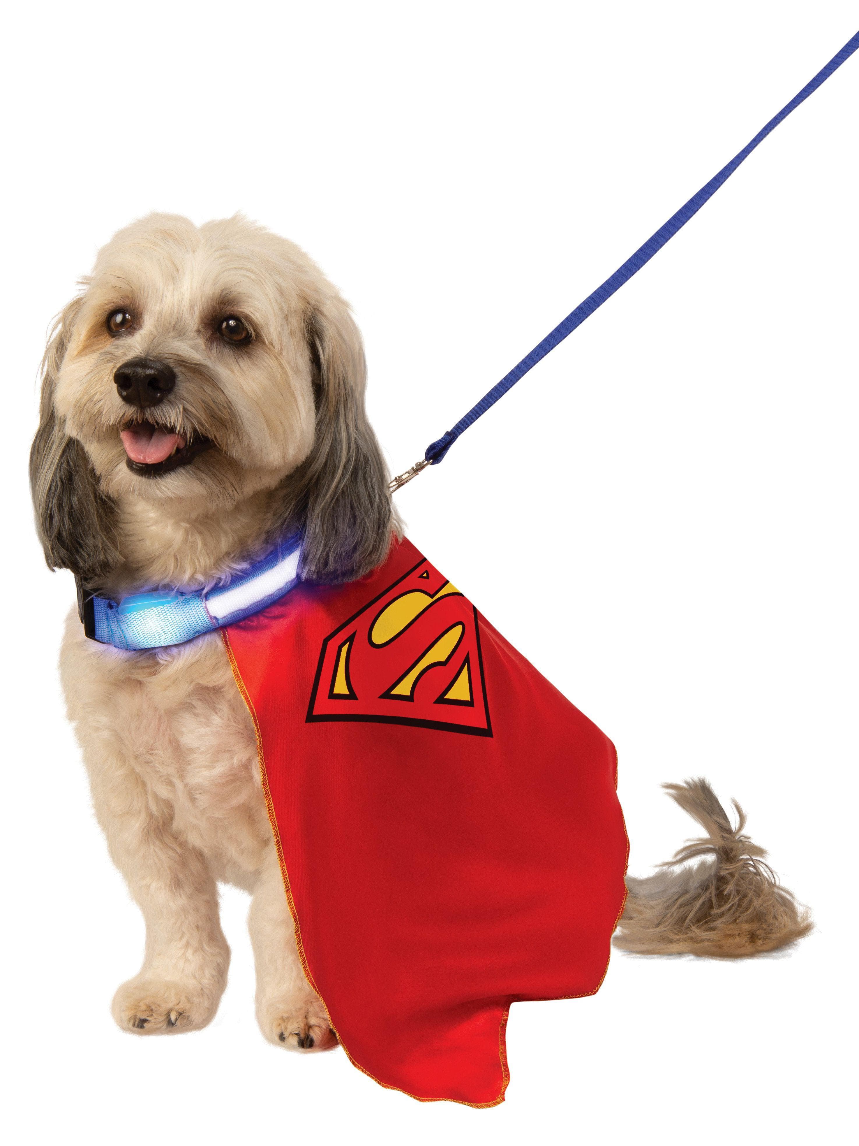 Superman Pet Cape and Light Up Collar with Leash - costumes.com
