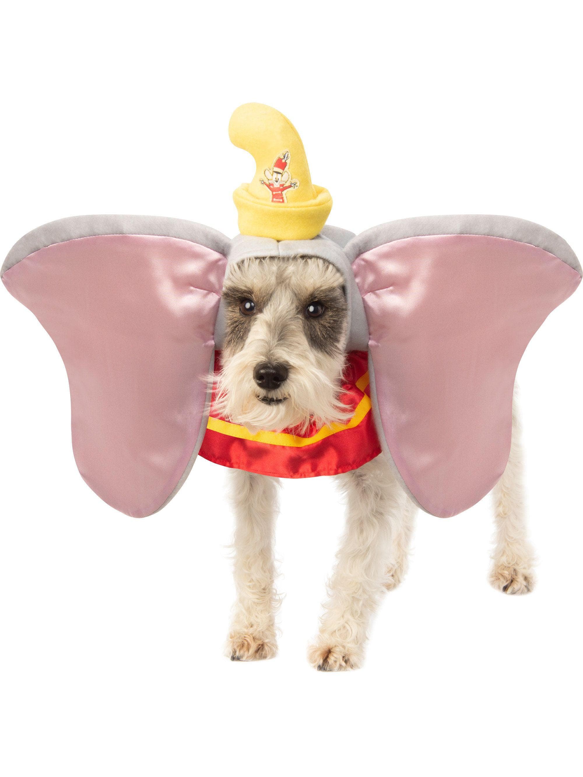 Dumbo Pet Headpiece - costumes.com