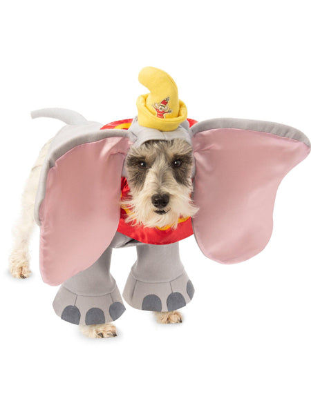 Dumbo Pet Costume