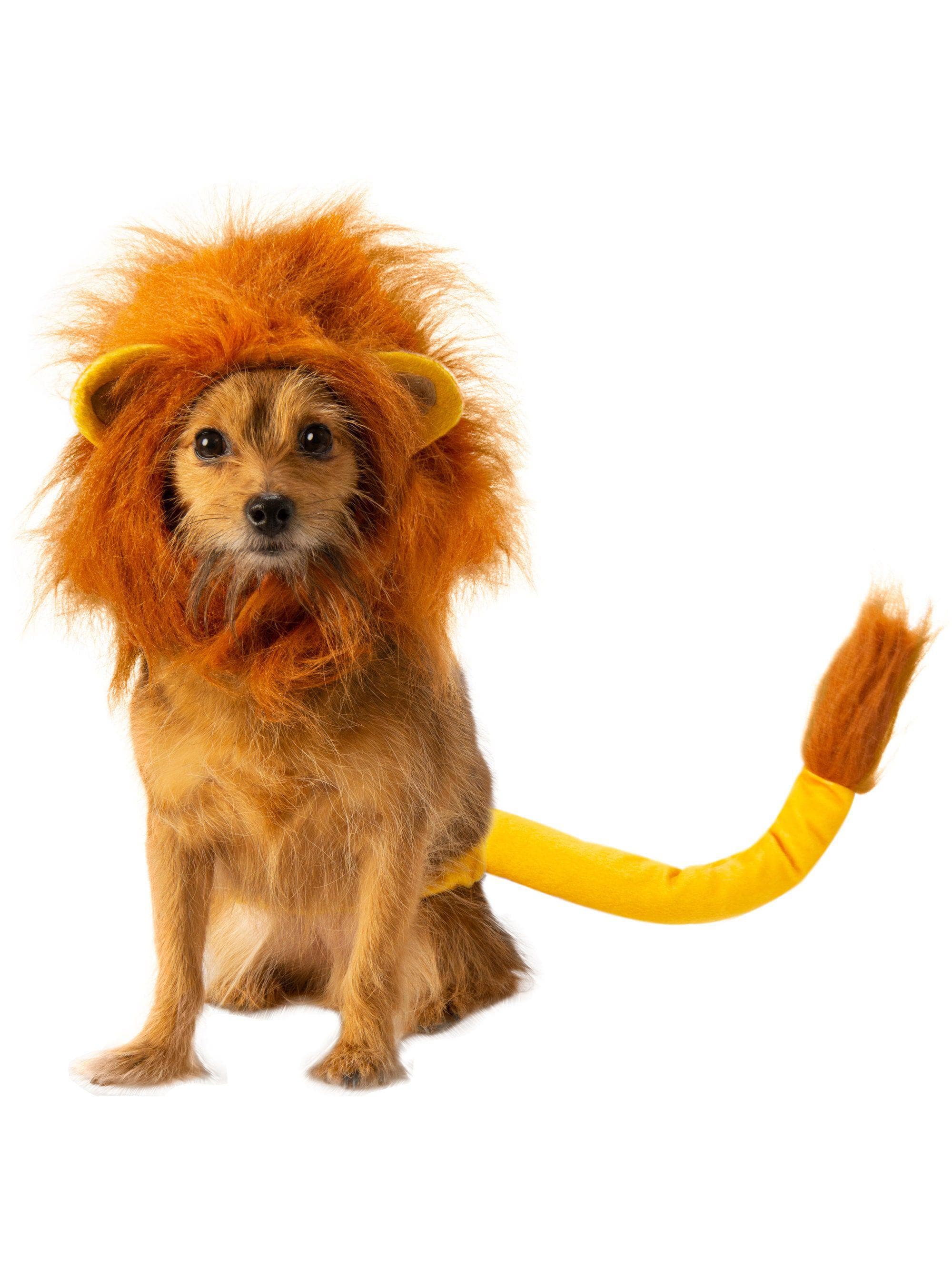 Lion King Simba Pet Headpiece and Tail - costumes.com