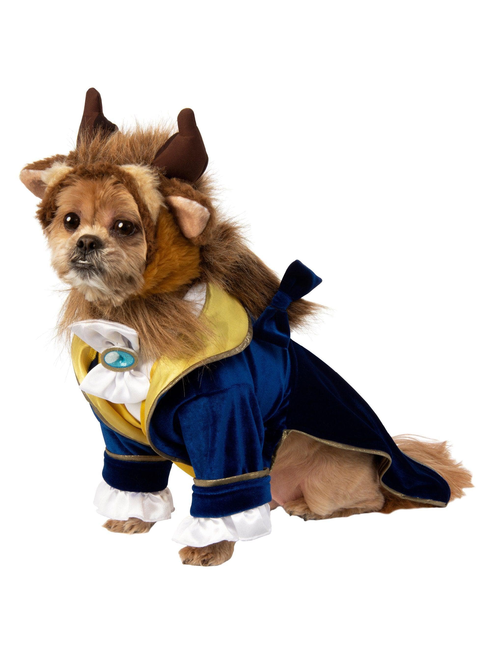 Beauty and the Beast Pet Costume - costumes.com