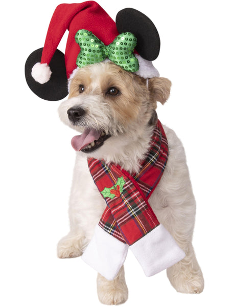 Minnie Mouse Pet Santa Hat and Scarf