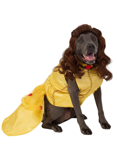 Beauty and the Beast Belle Big Dog Pet Costume