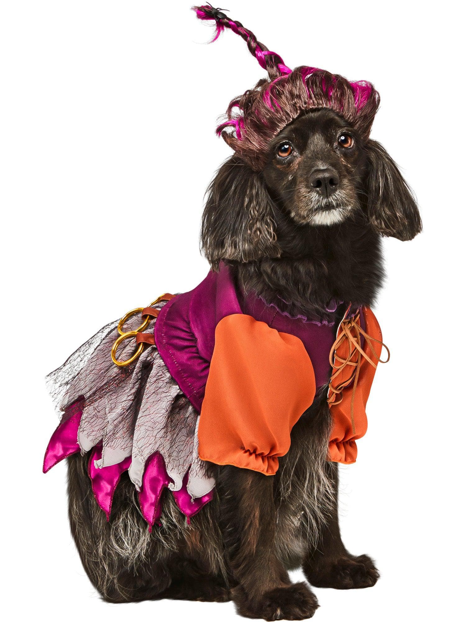 Hocus Pocus Mary Pet Costume - costumes.com