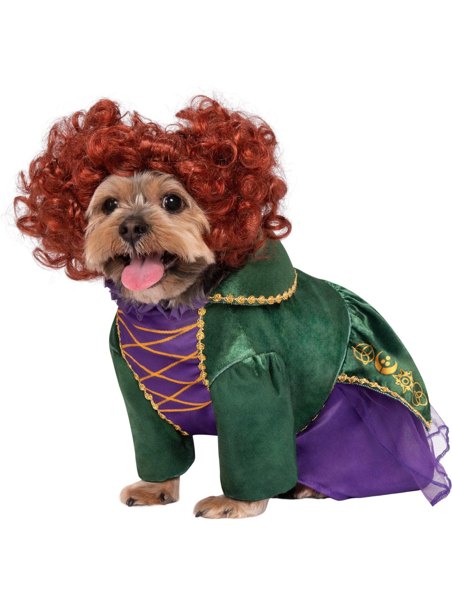 Hocus Pocus Winifred Pet Costume - costumes.com