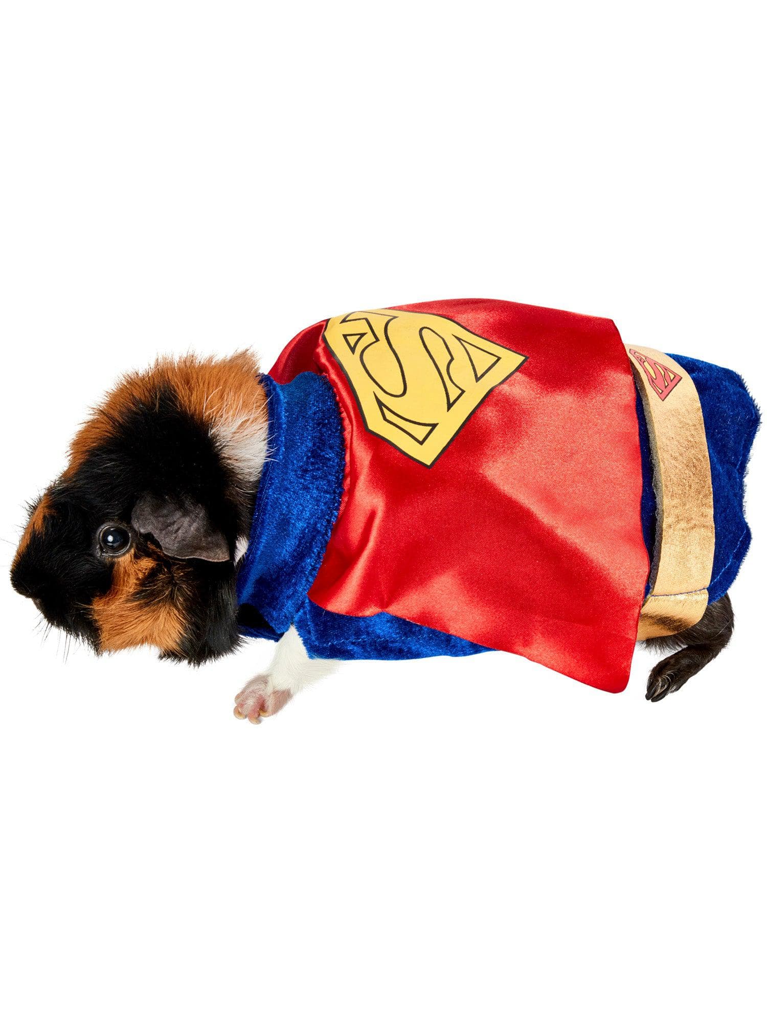 Superman Small Pet Costume - costumes.com