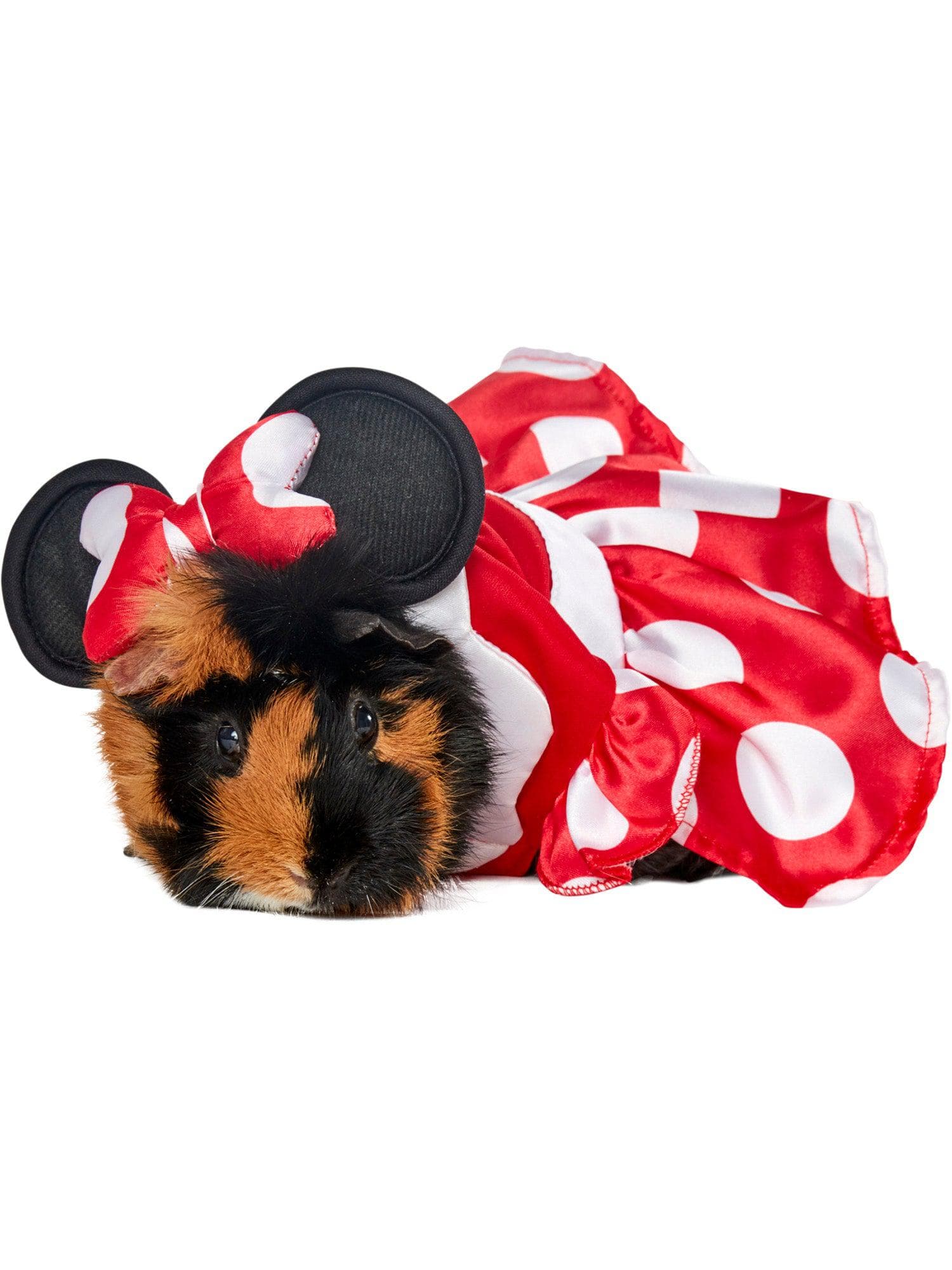Minnie Mouse Small Pet Costume - costumes.com