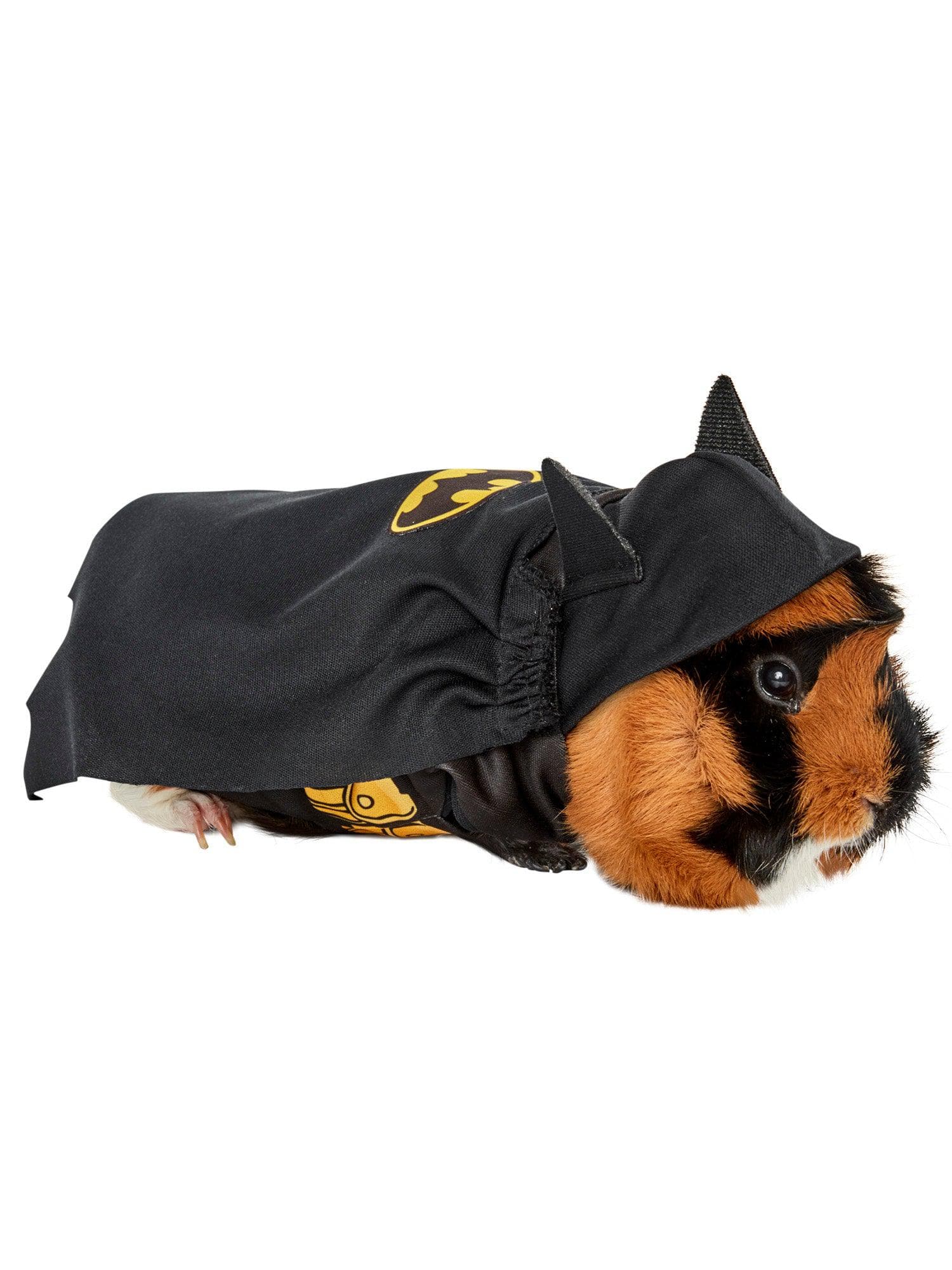 Batman Small Pet Costume - costumes.com