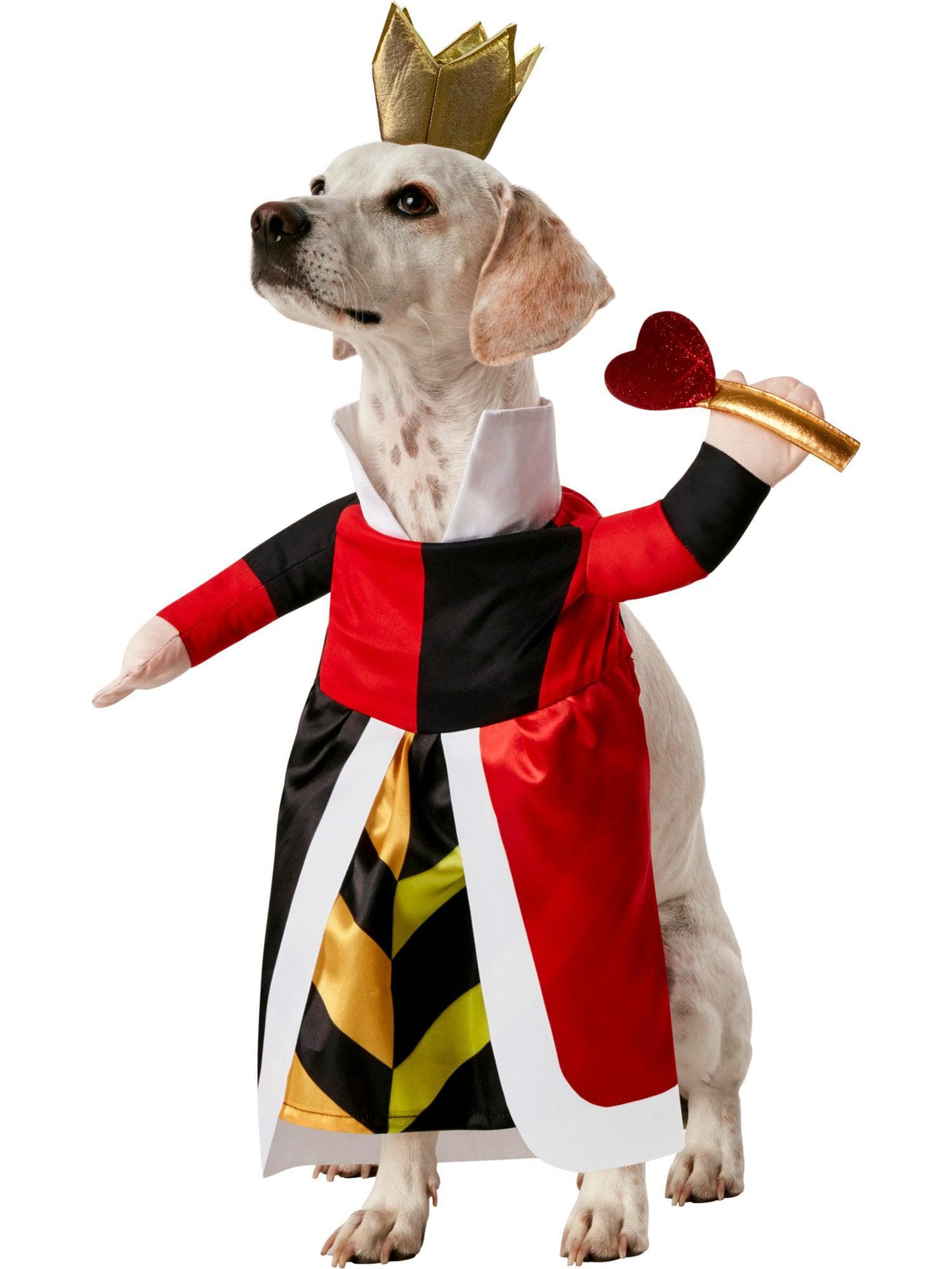 Alice In Wonderland Red Queen Pet Costume - costumes.com