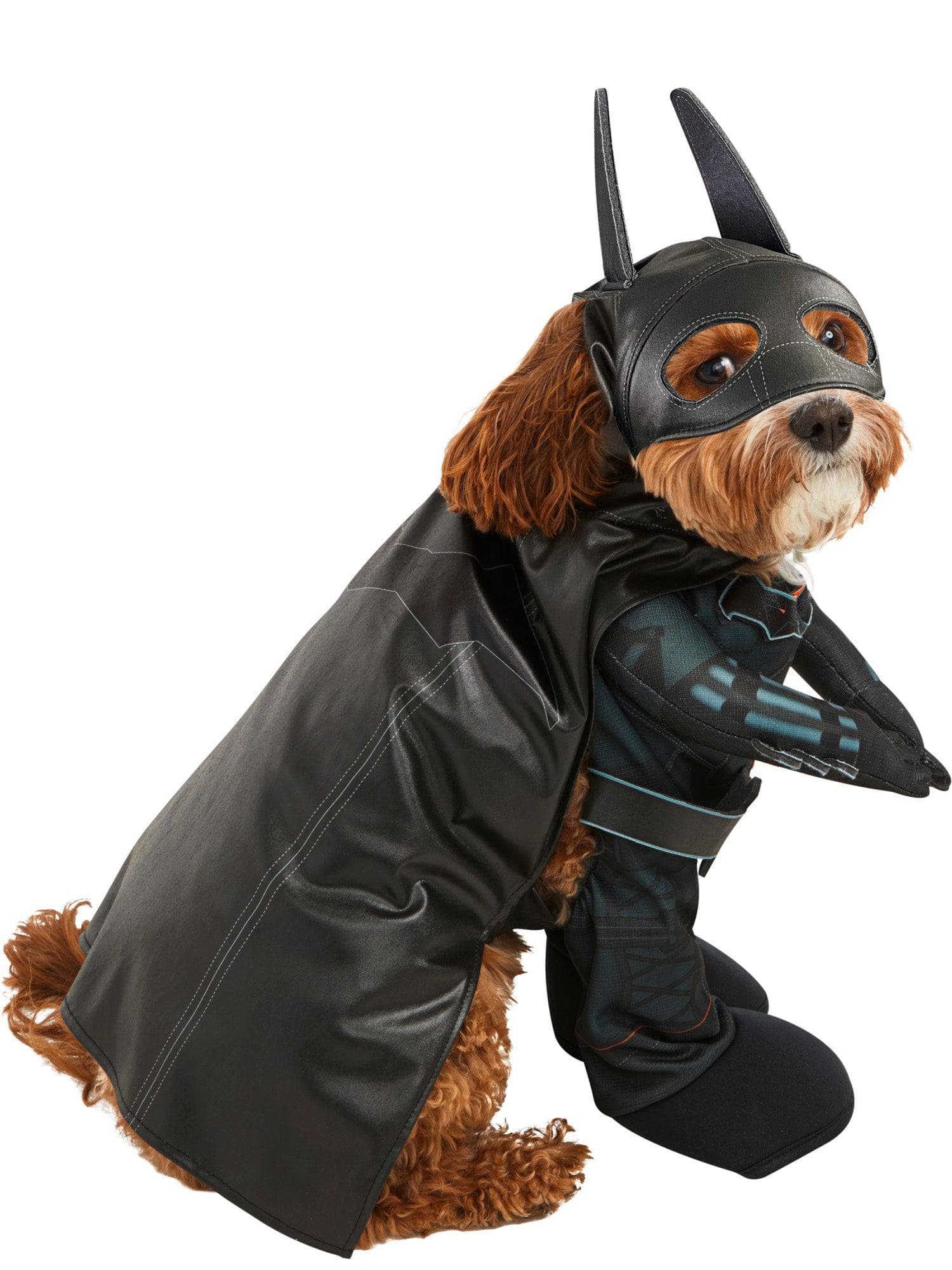The Batman Pet Costume - costumes.com