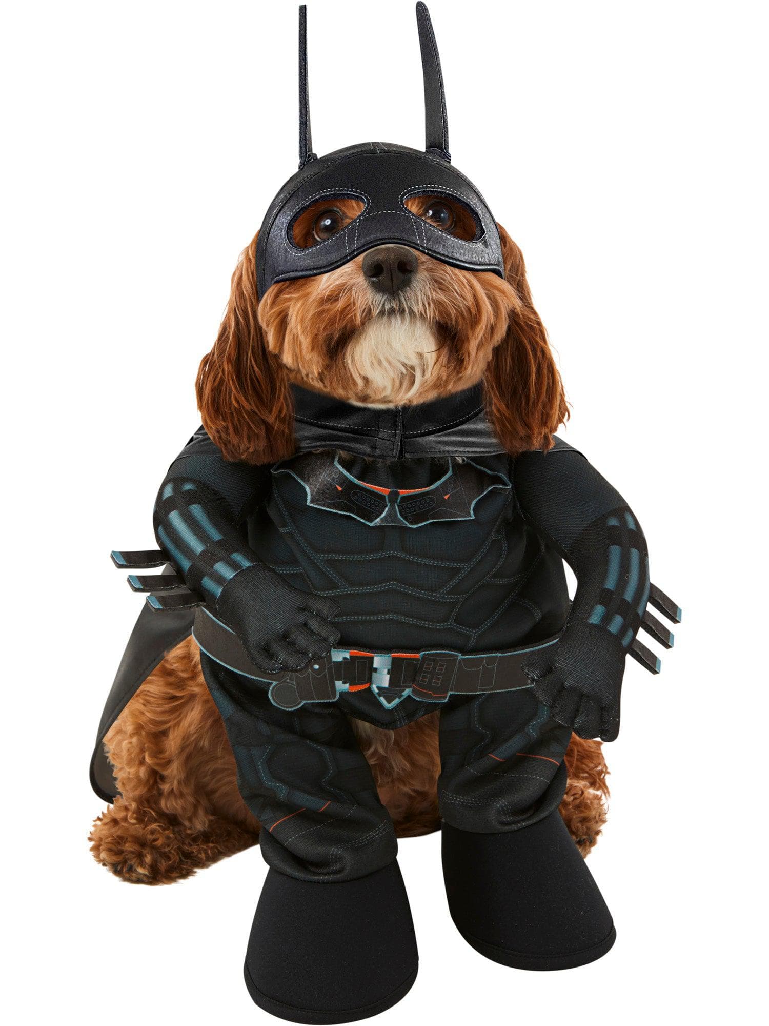 The Batman Pet Costume - costumes.com