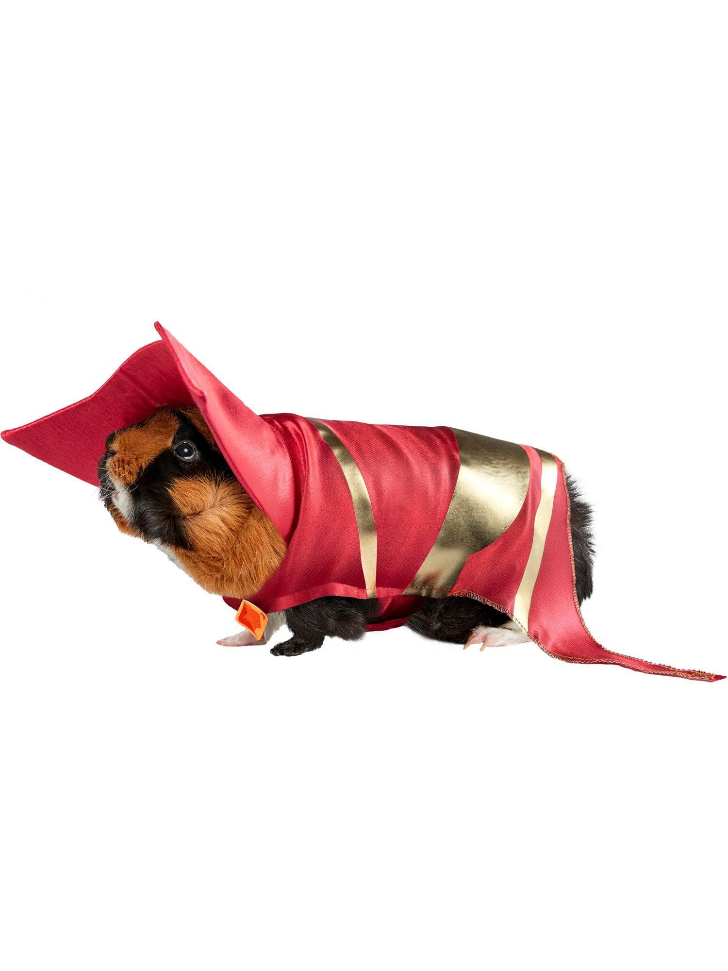 DC League of Super-Pets Lulu Small Pet Costume - costumes.com