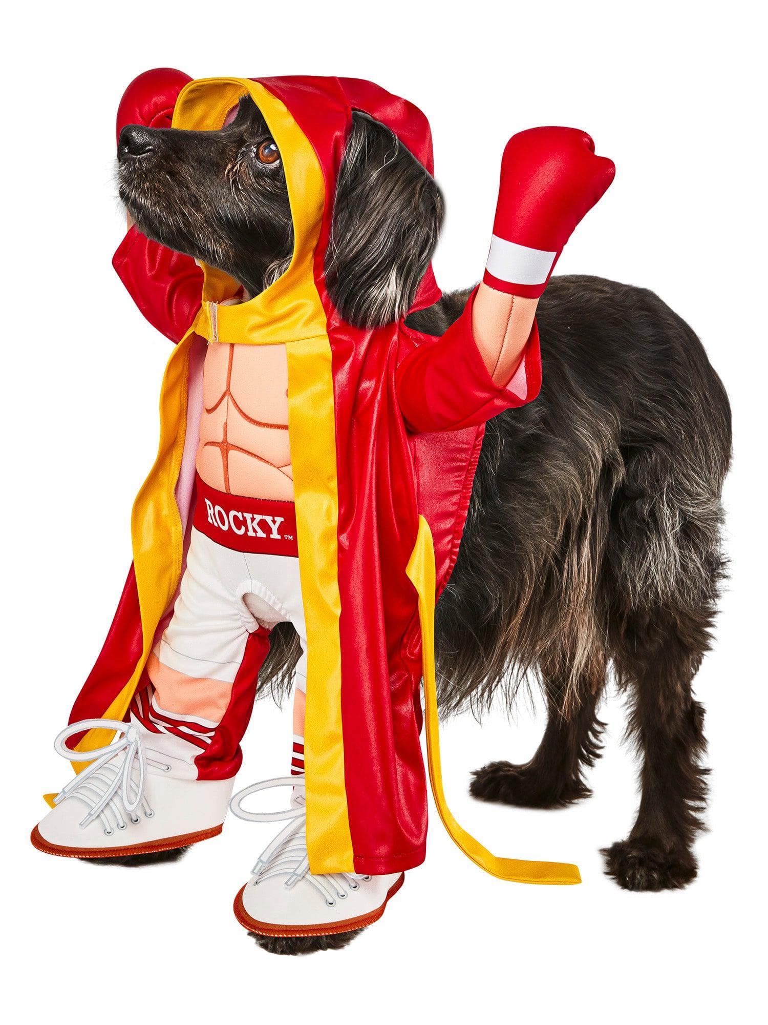 Rocky Balboa Walking Pet Costume - costumes.com