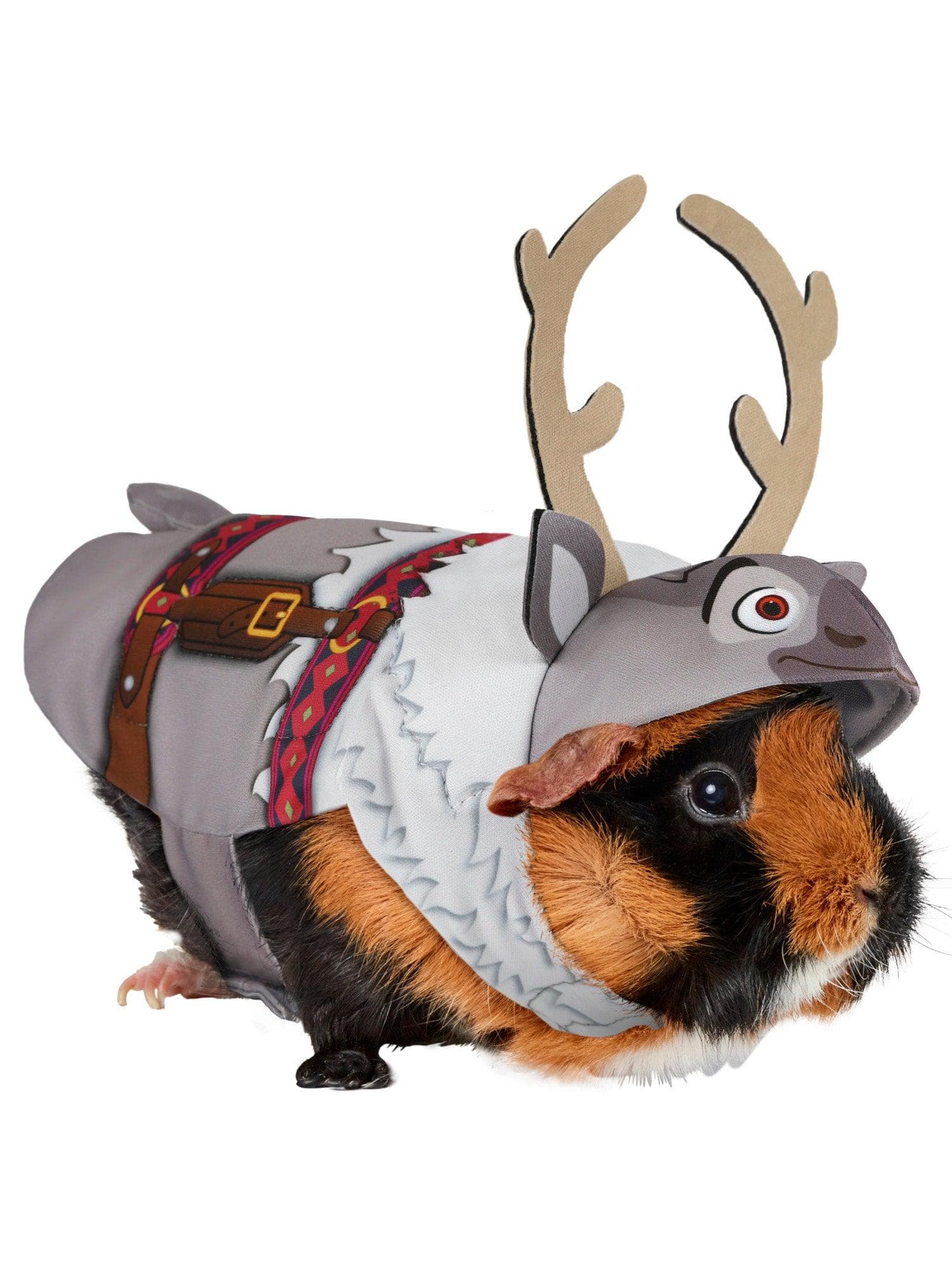 Frozen Sven Small Pet Costume - costumes.com
