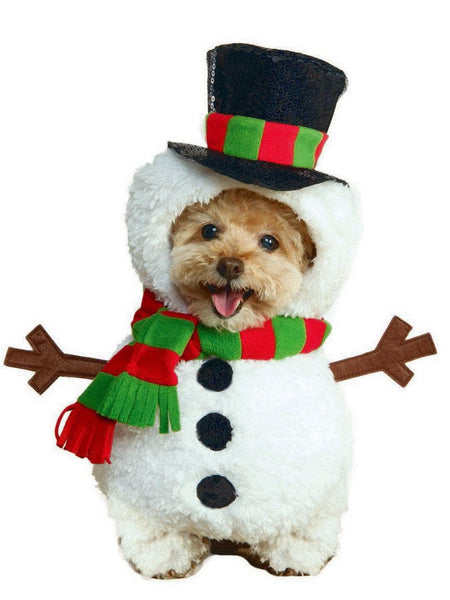 Snowman Walking Pet Costume