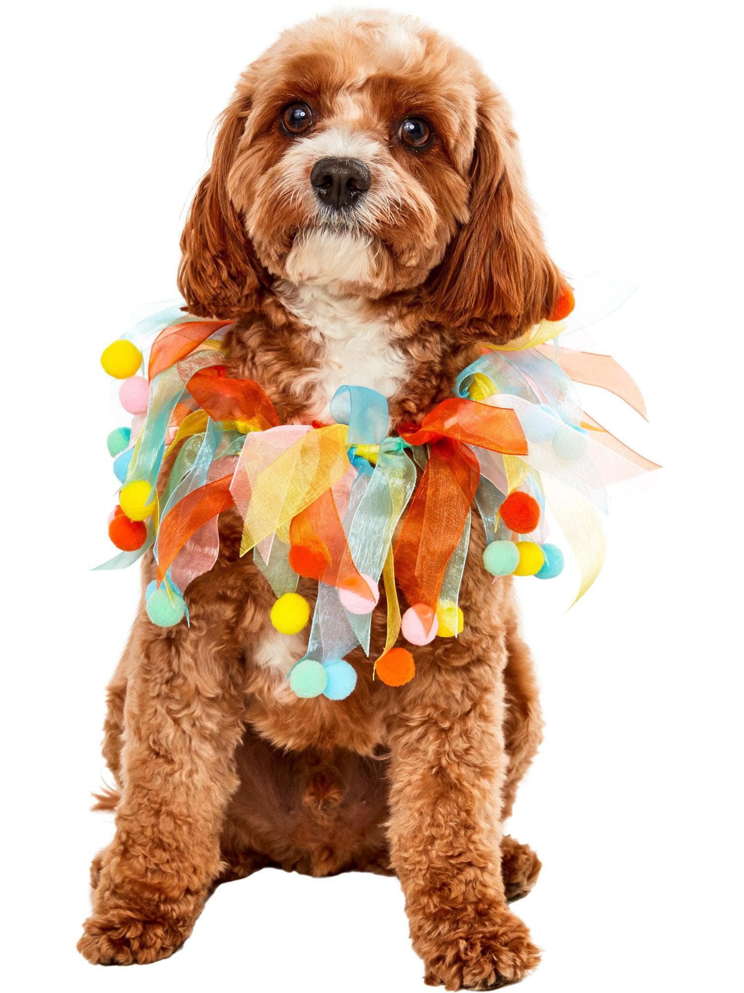 Pom Party Collar Pet Accessory - costumes.com